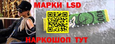apvp Камышлов