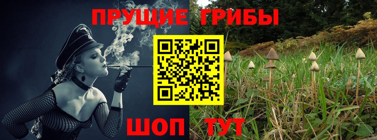 Псилоцибиновые грибы мицелий  Галлюциногенные грибы Magic Shrooms  Кувандык  Вход с VPN 